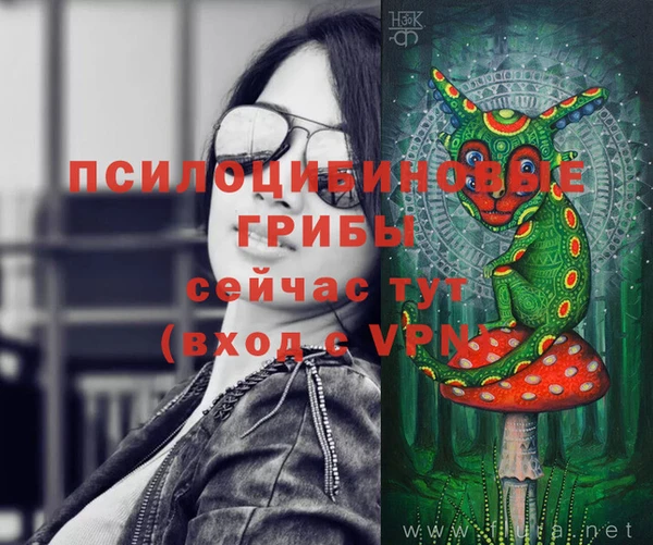 PSILOCYBIN Котовск