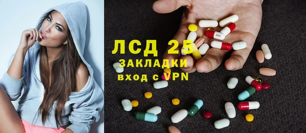 прущие грибы Краснослободск