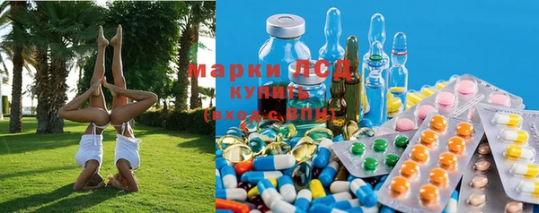 СК Кукмор