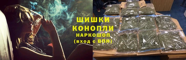 СК Кукмор