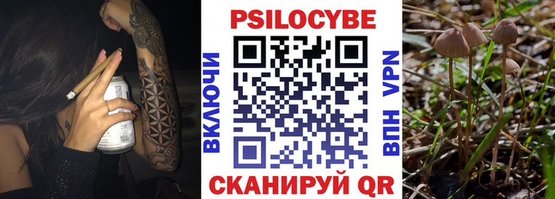 Галлюциногенные грибы GOLDEN TEACHER  Купить  Верхняя Салда 